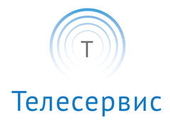 Телесервис. Телесервис онлайн. Телесервис Воронеж. Телесервис Вологда.